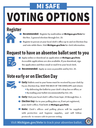 safe voting options.png